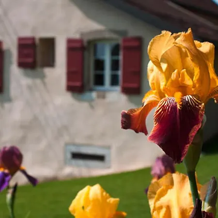 Bed & Breakfast La Belle Saison