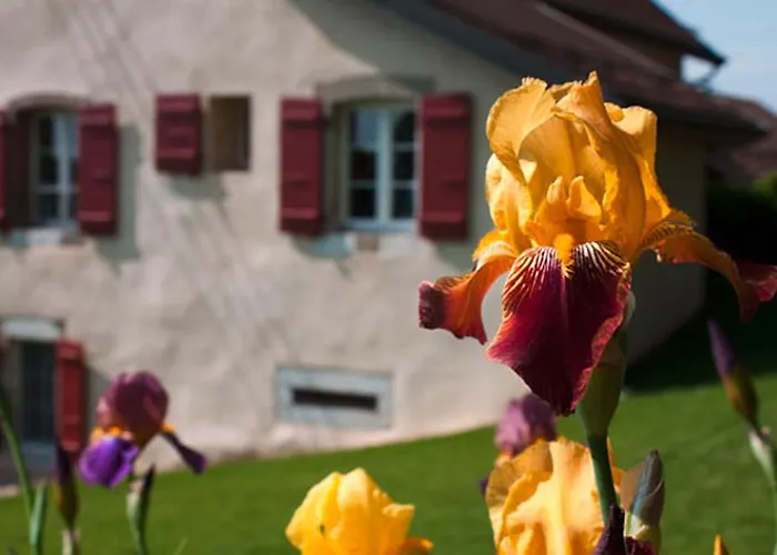 Nocleg ze śniadaniem La Belle Saison